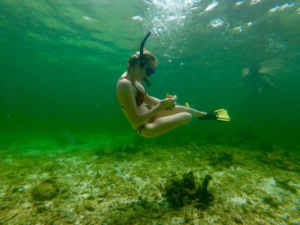 Angel Fish Cove Villa Buccoo